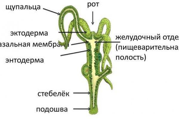 Kraken официальный сайт ссылка