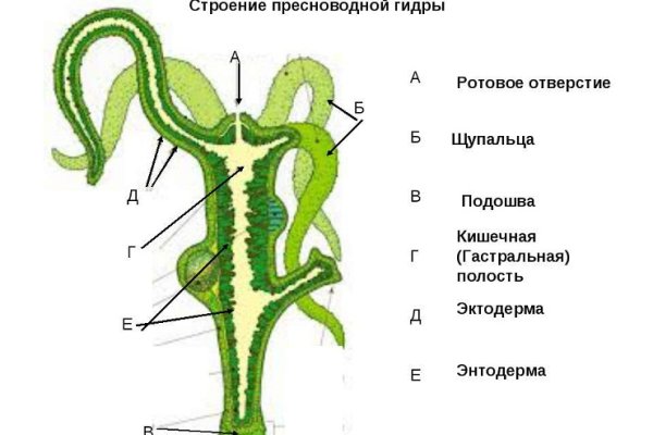 Ссылка на кракен официальный сайт